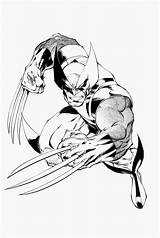 Wolverine Coloring Printable Marvel Jumping Superhero Action Series Into Men sketch template