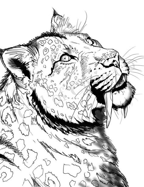 saber tooth tiger coloring page
