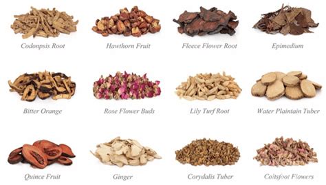 healthy things a list of the chinese herbs good for your healthy skin