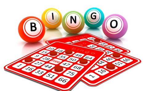 play  bingo game  tested guide  beginners