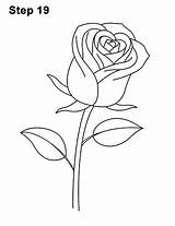 Rose Drawing Stem Draw Red Line Flower Long Single Drawings Step Over Getdrawings Paintingvalley Pencil sketch template