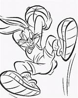 Bunny Bugs Drawing Coloring Getdrawings sketch template