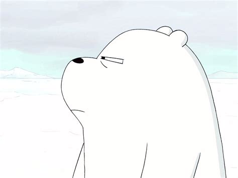 ice bear pfp webarebears ursopolar ursosemcurso icebear cn