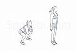 Squat Jacks Spotebi Muscles Illustrated Demonstration Glutes Quads Flexors Primary Proper sketch template