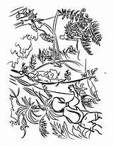 Botany Sassafras Bit sketch template