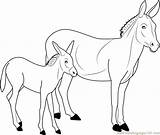Donkey Coloring Pages Coloringpages101 Color sketch template