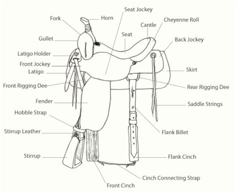 equus ally tack em   western saddle