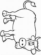 Coloring Cow Pages Printable Color Sheet Kids sketch template