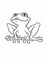 Grenouille sketch template