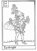 Fairies Eyebright 1774 1302 Farys Barker Coloringhome sketch template