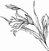 Geschlossene Blume Malvorlage Ausmalbilder sketch template