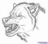 Wolf Drawing Angry Draw Snarling Pencil Step Drawings Wolves Anime Reference Sketch Character Tattoo Choose Board Sketches Coloring Pages Forward sketch template