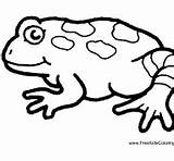 Coloring Frog Toad Spotted Surfnetkids Pages Next sketch template