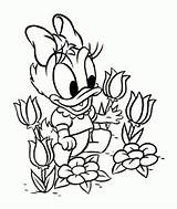 Coloring Daisy Duck Baby Pages Donald Disney Kids Color Flower Printable Easter Colouring Print Dasiy Beautiful Getcolorings Cute Getdrawings Duckling sketch template