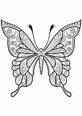 Butterfly Coloring Beautiful Patterns Pages Insects Butterflies Adult Adults Printable Animals sketch template