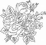 Bush Coloriages Cloverbud Coloriage Getcolorings Engraving Shee sketch template