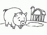 Coloring Pig Pancake Give If Pages Crayola Popular Library Codes Insertion sketch template