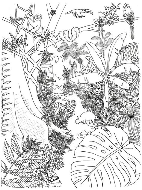 jungle coloring page  kids