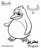 Arabic Coloring Pages Alphabet Kindergarten Kids Pdf Sheets Letters Baa Letter Choose Board sketch template