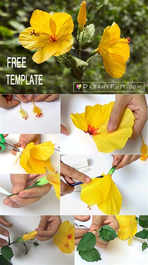 hibiscus paper flower paper flower template  tutorial