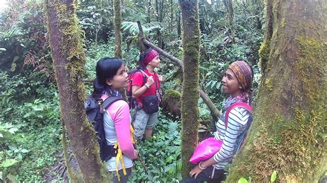 Gunung Barus Atau Deleng Barus Tanah Karo Sumatera Utara