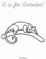 Coloring Anteater Cursive Favorites Login Add sketch template