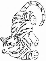 Tiger Coloring Pages Tigers Detroit Big Cat Wild Colouring Stripes Printable Cartoon Baby Color Cute Cliparts Resting Clip Getcolorings Head sketch template