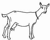 Goat Outline Clipart Milk Milking Cliparts Goats Clipartmag sketch template