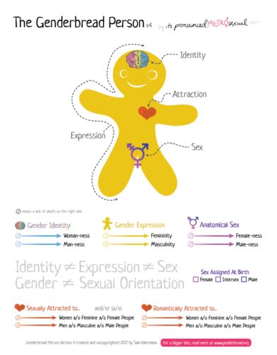 The Genderbread Person A Free Online Resource For
