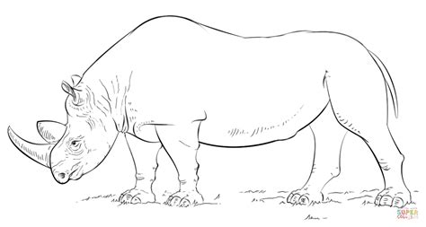 rhinoceros coloring pages kidsuki