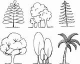 Coloring Tree Kids Pages Draw Printable sketch template