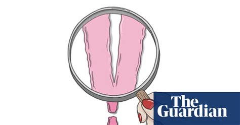 vagina by naomi wolf digested read books the guardian