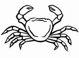 Crabe Cangrejo Crab Coloriages Cangrejos Coloring Gratuit Oceano sketch template