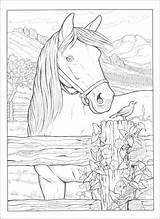 Cavalos Fazendinha sketch template