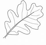 Coloring Leaf Leaves Oak Pages Template Fall Drawing Color Thanksgiving Palm Printable Print Autumn Draw Kindergarten Kids Getdrawings Vines Pumpkin sketch template