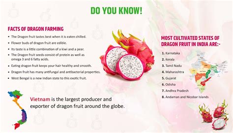 dragon fruit farming  method process  health benefits