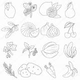 Verdura Frutta Colorare sketch template