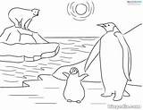 Habitats Ecosistemas Artico Terrestres Antarctic Biopedia Penguins Emperor Colouring Sabana sketch template