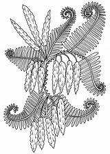 Fern Pods Ferns Floral Welshpixie sketch template