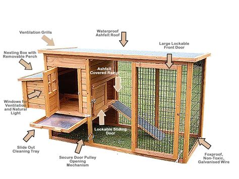 hens large chicken coop design ideas small chicken coops building  chicken coop portable