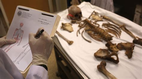 forensic anthropologists reconstruct deadly crimes ae true crime