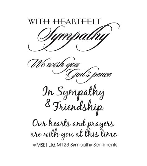 My Sentiments Exactly Clear Stamps 3 X4 Sheet Sympathy