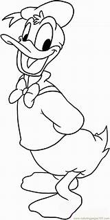 Coloring Duck Donald Pages Face Popular sketch template