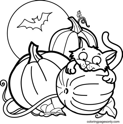 cat pumpkin   bat  halloween coloring pages halloween cats