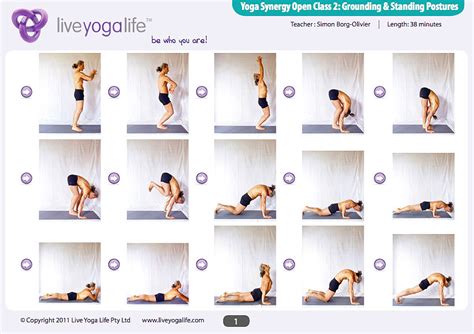 yoga synergy open class  grounding standing postures  yoga life