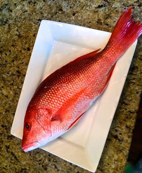 caribbean fried red snapper potfish la bella vita cucina