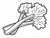 Rhubarb Celery Coloring Vegetables Foodhero Artwork sketch template