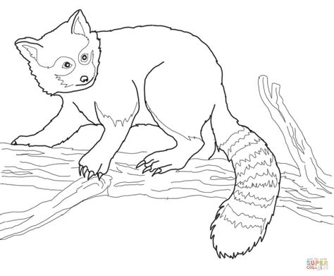 realistic panda coloring pages   goodimgco