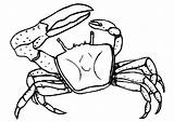 Crab Coloring Kids Pages Printable Animal sketch template