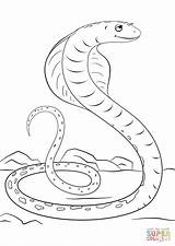 Cobra Coloring Pages Cartoon Drawing Mamba Cute Snake Printable Print Snakes Reptiles Getcolorings Color Sheets Getdrawings Parentune sketch template